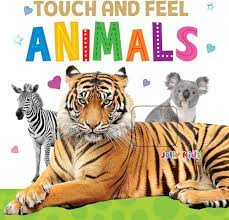 Animals - Touch and Feel (B)
