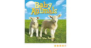 Baby Animals on the Farm (B)