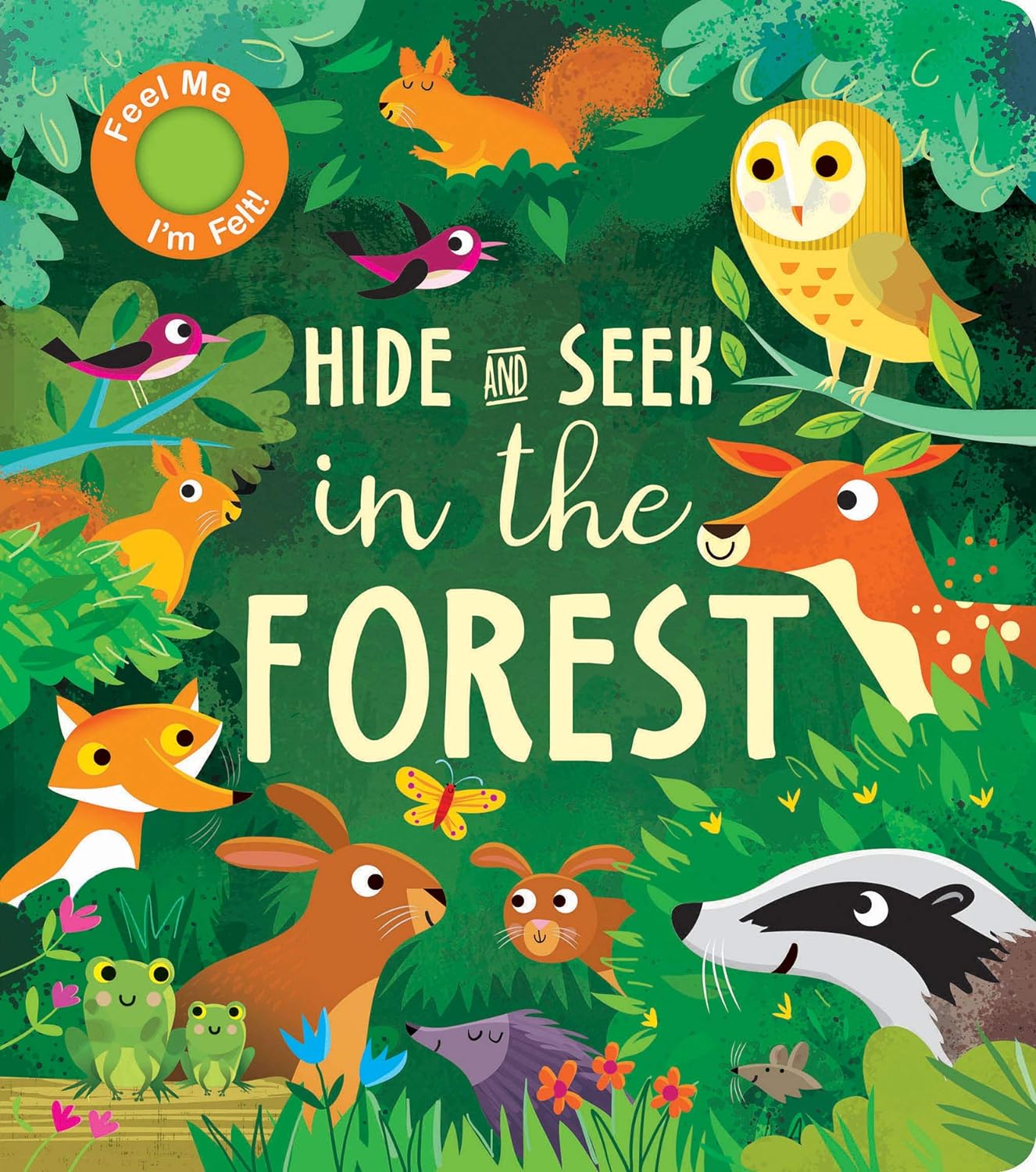 Hide and Seek in the Forest (B)