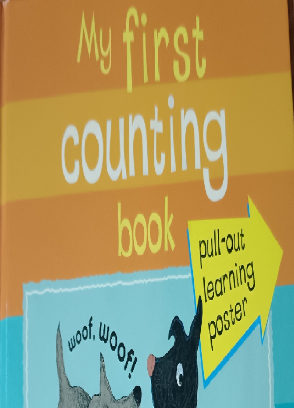 My First Counting Book (H)