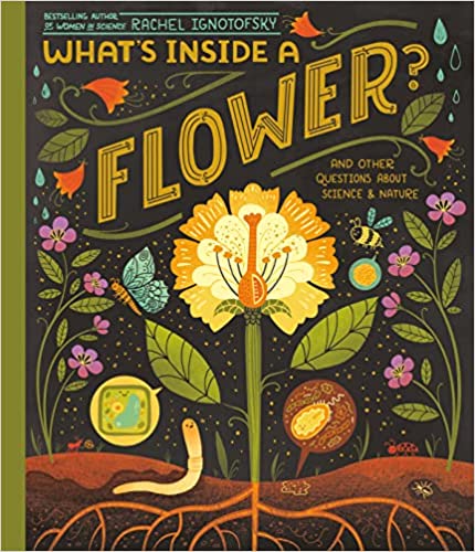 What\'s Inside a Flower (H)