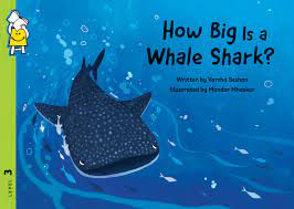 How Big is a Whale Shark? (P)