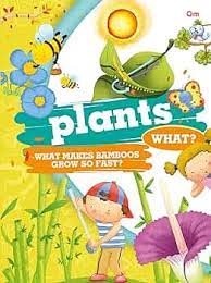 Plants What Makes Bamboo Grow so Fast (P)